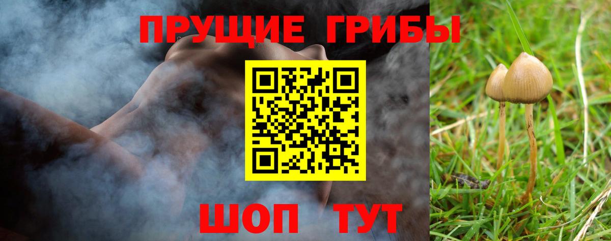 Галлюциногенные грибы Psilocybe  что такое наркотик  Вход с VPN  Аксай  Псилоцибиновые грибы MAGIC MUSHROOMS 